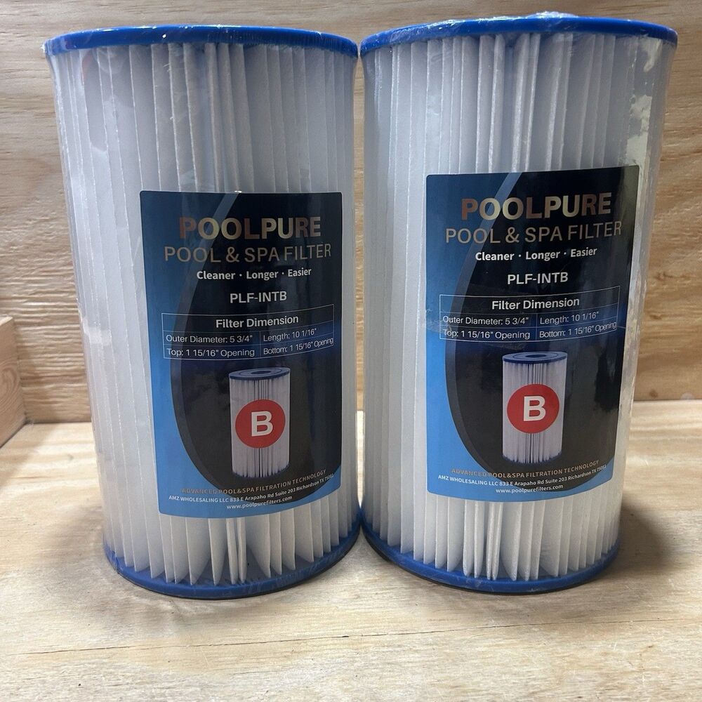 POOLPURE Type B Replacement Pool Filter, Compatible with Intex 29005E - Pack 2